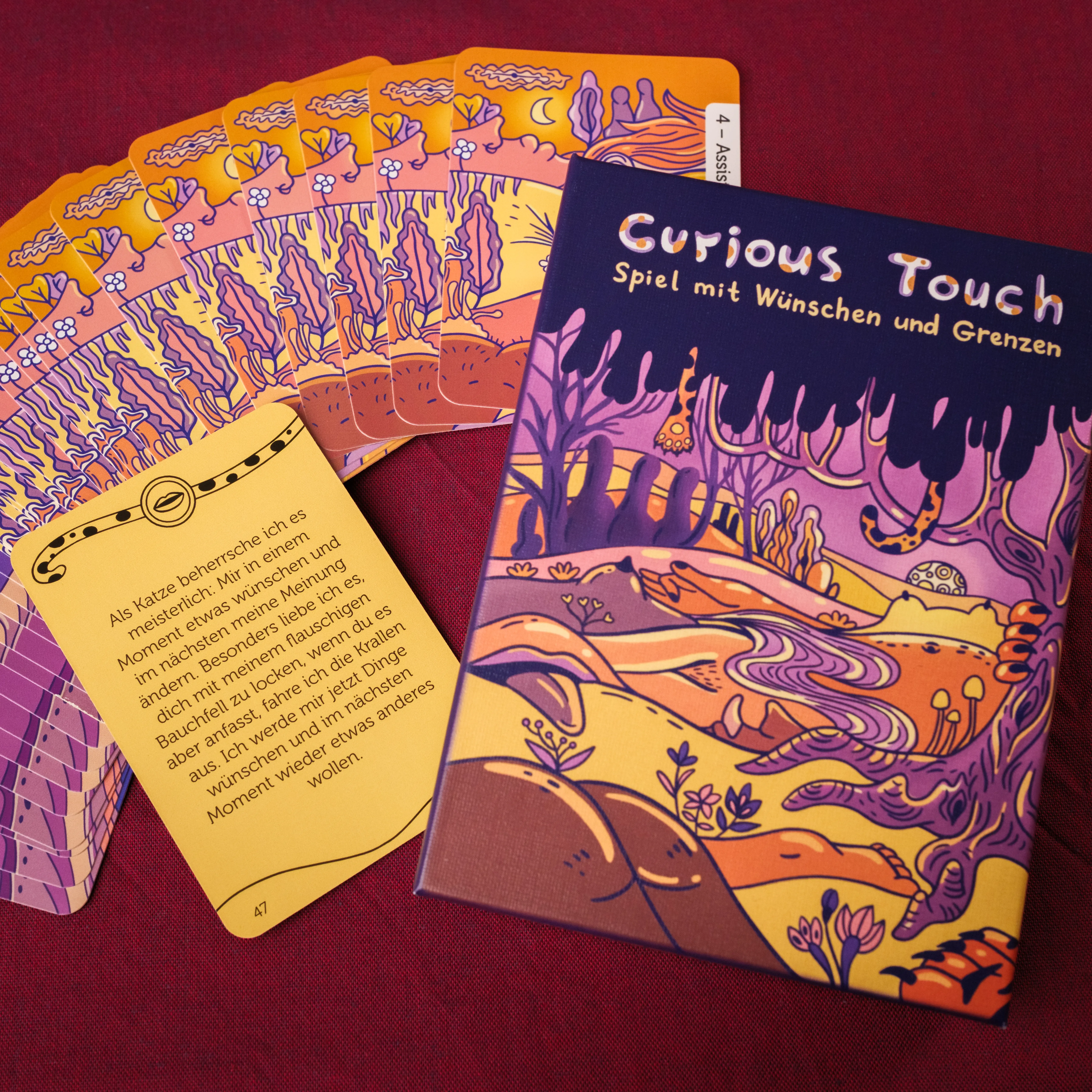 Curious Touch Spielkarton und Karten